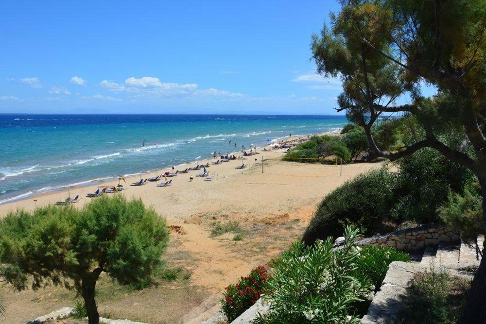 Stamiris Beach Hotel Vasilikí 외부 사진