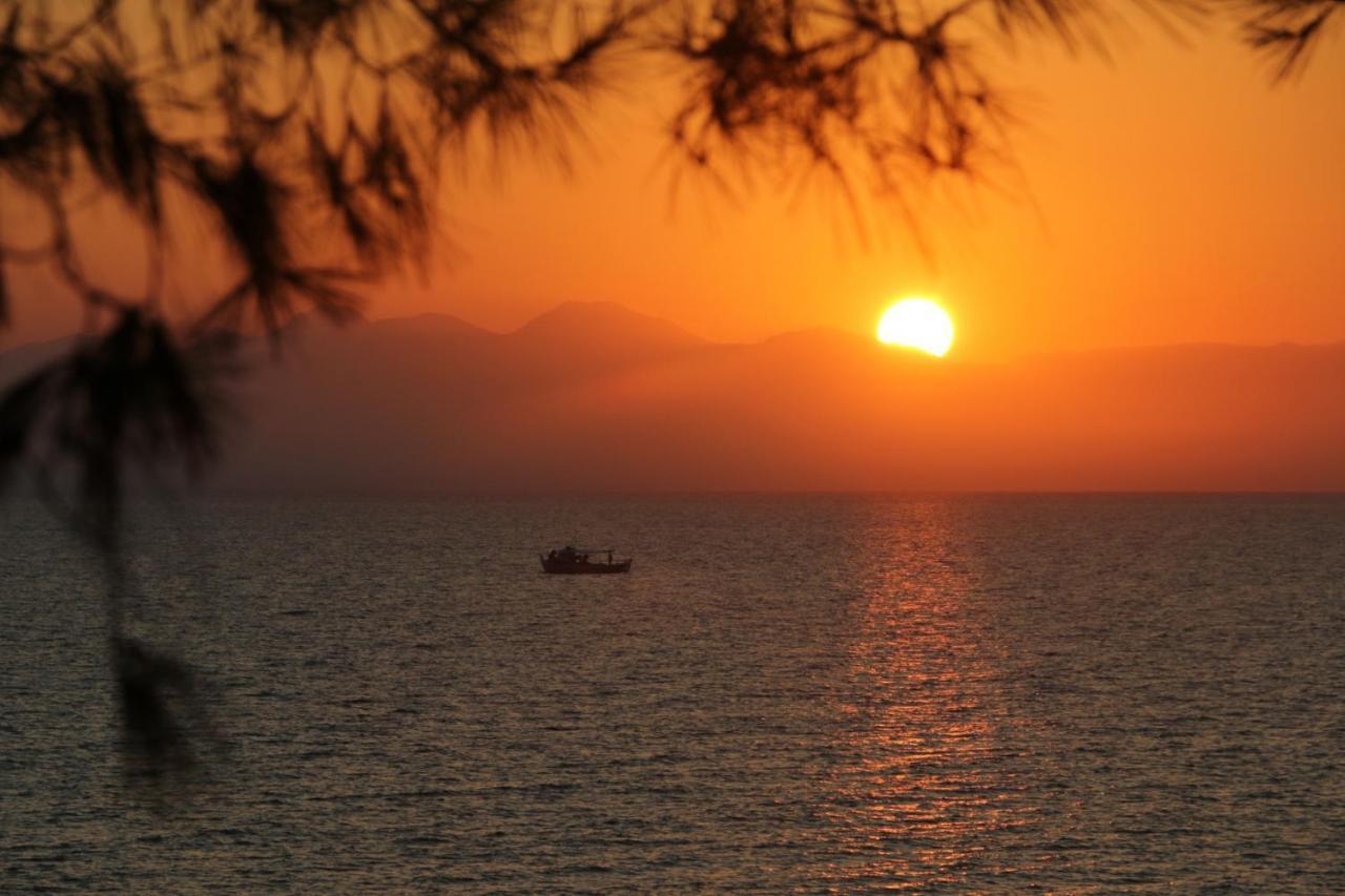 Stamiris Beach Hotel Vasilikí 외부 사진